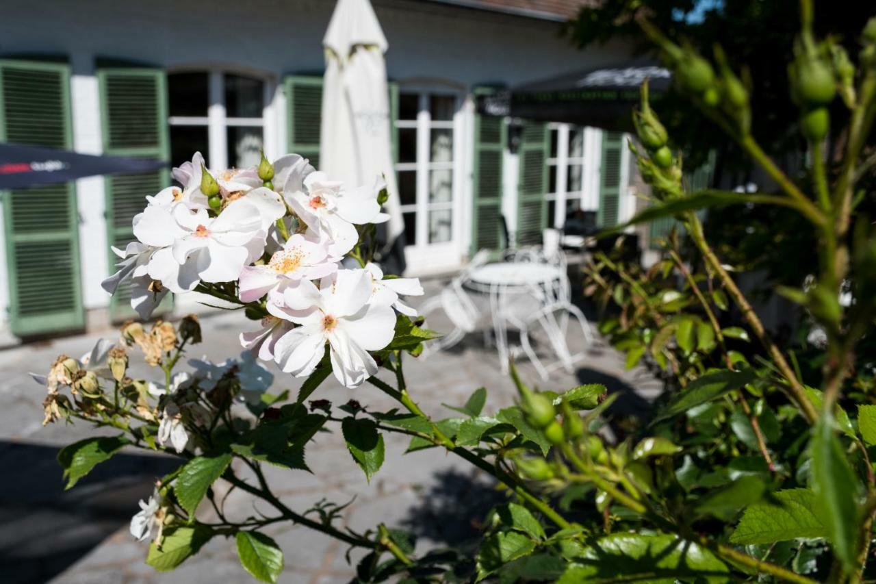 B&B El Tyu Écaussinnes-dʼEnghien Bagian luar foto